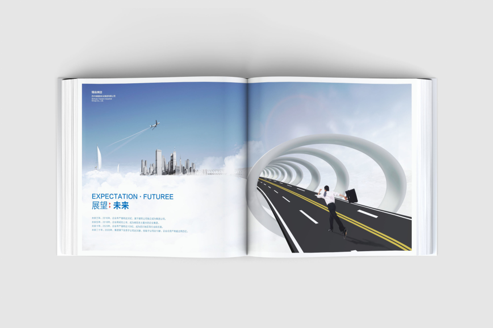 勐腊县画册设计